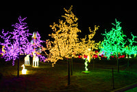 Glowing Cherry Trees