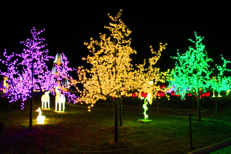 Glowing Cherry Trees