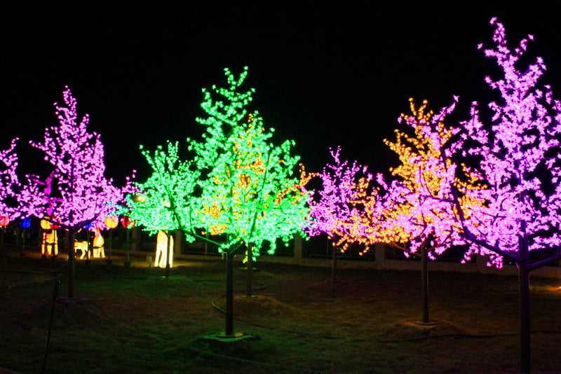 Glowing Cherry Trees