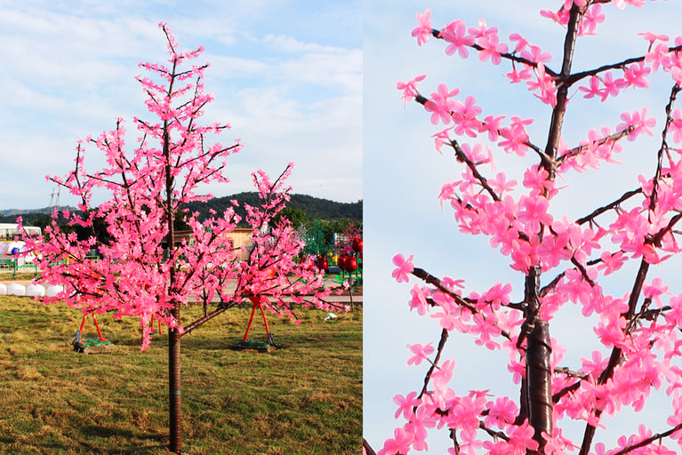 Glowing Cherry Trees