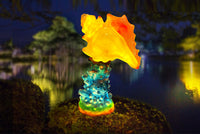 Glowing Conch