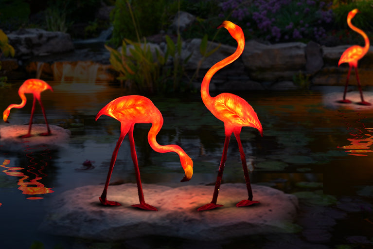 Glowing Flamingo