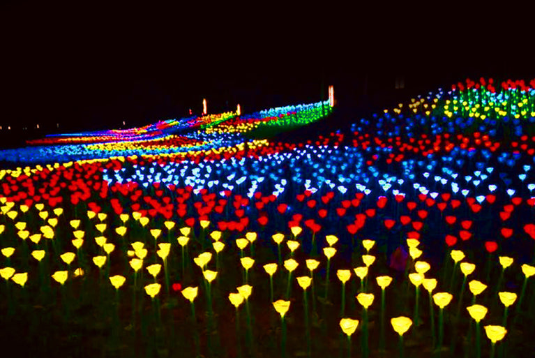 Glowing LED Rose Bed