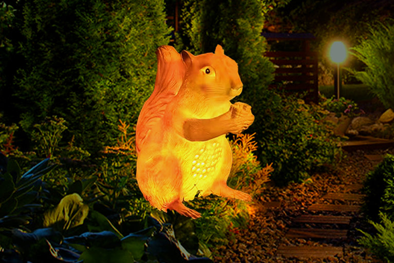 Glowing Squirrel