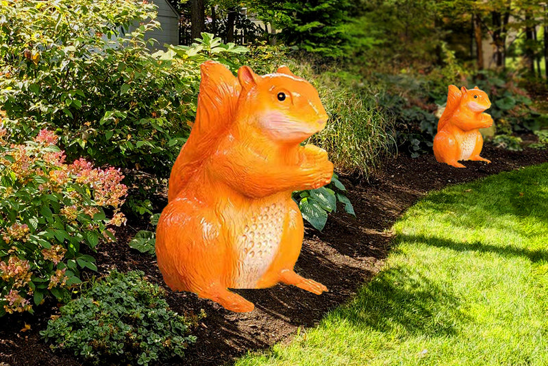 Glowing Squirrel