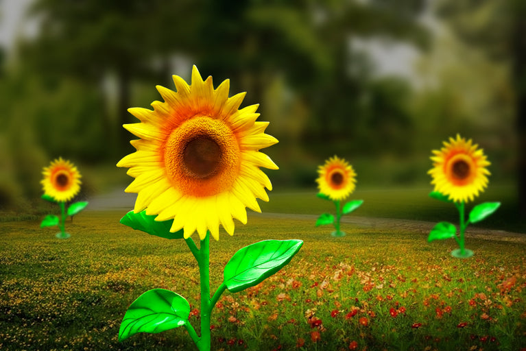 Glowing Sun Flowers