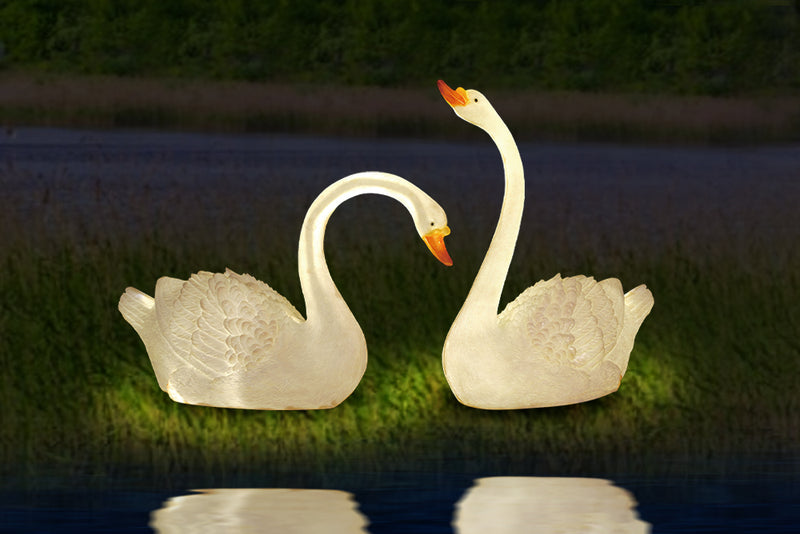 Swan