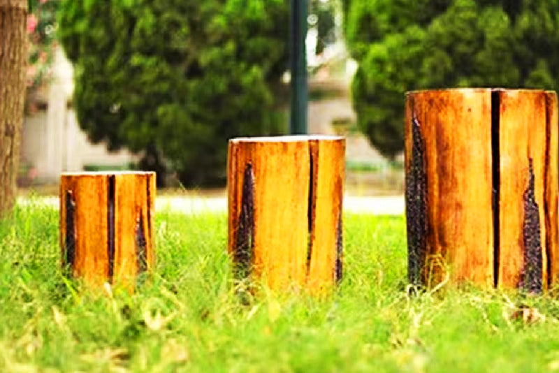 Glowing Tree Stump