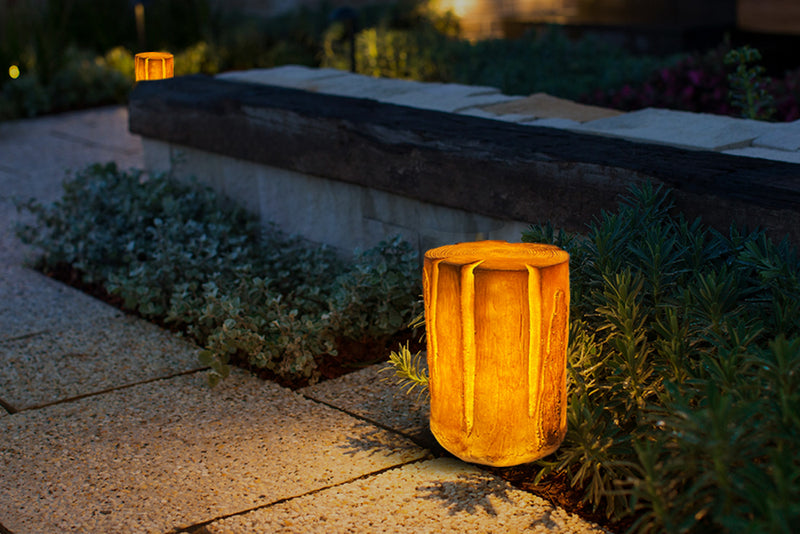 Glowing Tree Stump